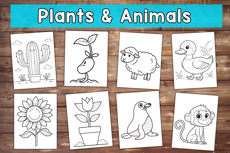 Coloring Book simple
easy coloring page
Coloring book
fruits vegetables
cute kawaii pages
kids coloring book
Kindergarten
Children's activity
toddlers coloring
digital coloring
for toddlers
printable
Digital download