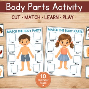 Body Parts Matching Activity for Preschool & Kindergarten, Cut and Paste Printable, Human Body Parts Worksheet, Toddler Busy Book PDF
