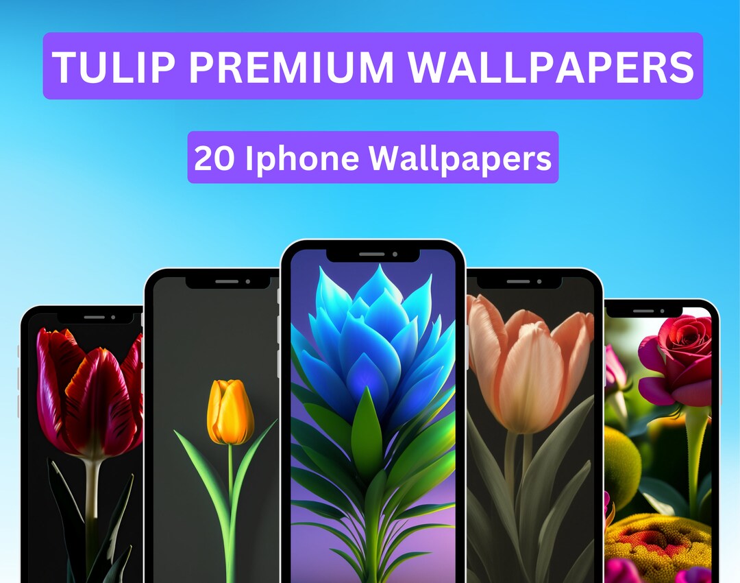 20 Tulip HD Wallpapers for iPhone Vintage Tulip Wallpapers Aesthetic ...