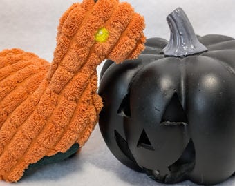 Pumpkin Pocket Brontosaurus