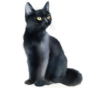 Pode incluir: Um gato preto com olhos amarelos sentado em um fundo branco. O gato est&aacute; olhando para a direita da imagem.