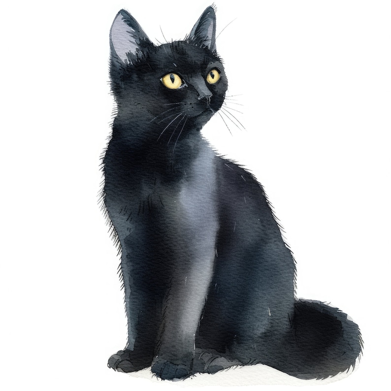 Pode incluir: Um gato preto com olhos amarelos sentado em um fundo branco. O gato est&aacute; olhando para a direita da imagem.