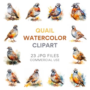 Quail Clipart: Watercolor Quail Bird Art, Digital Download for Scrapbooking, Sublimation Designs, Quail Farm Print in JPG Format