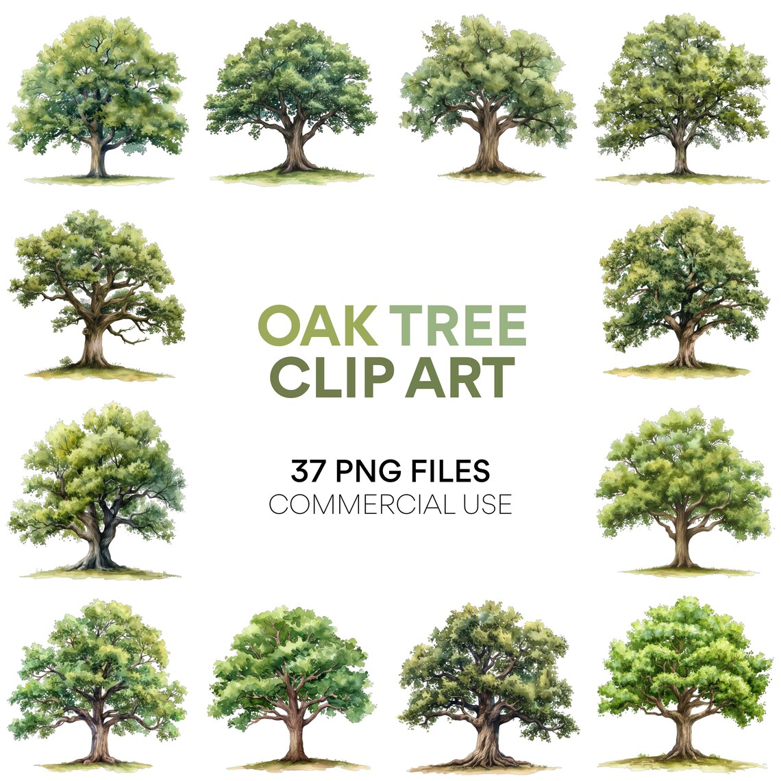 Oak Tree Clip Art Watercolor Clipart Digital Download, Clipart Pack for ...