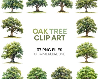 Oak Tree Clip Art Watercolor Clipart - Digital Download, Clipart Pack for Digital Crafting, Colorful Artwork, Scrapbook & Tree Images
