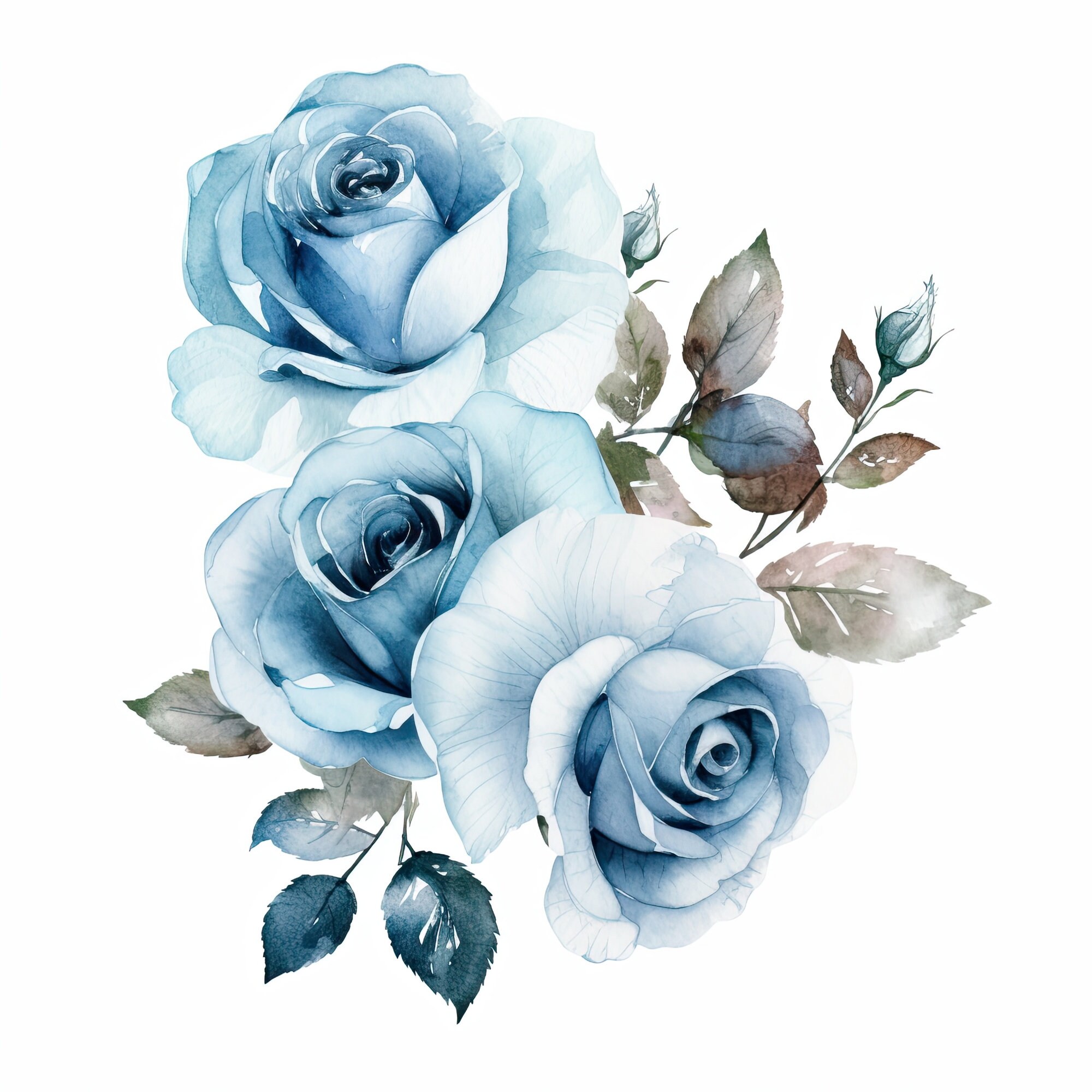 Vintage Blue Roses Clipart 49 High-quality Jpgs Watercolor, Digital ...