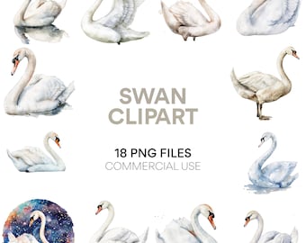 Pacote de clipart de cisne: download digital de clipart de cisne em aquarela para arte de parede, artesanato digital, formato PNG, pintura em aquarela