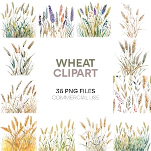 May include: A set of 36 watercolor illustrations of wheat stalks and wildflowers. The illustrations are perfect for adding a touch of nature to your designs. The illustrations are available in PNG format and are for commercial use.