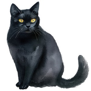Pode incluir: Um gato preto com olhos amarelo brilhantes senta-se com o rabo enrolado em torno do seu corpo. O gato est&aacute; olhando diretamente para o espectador.
