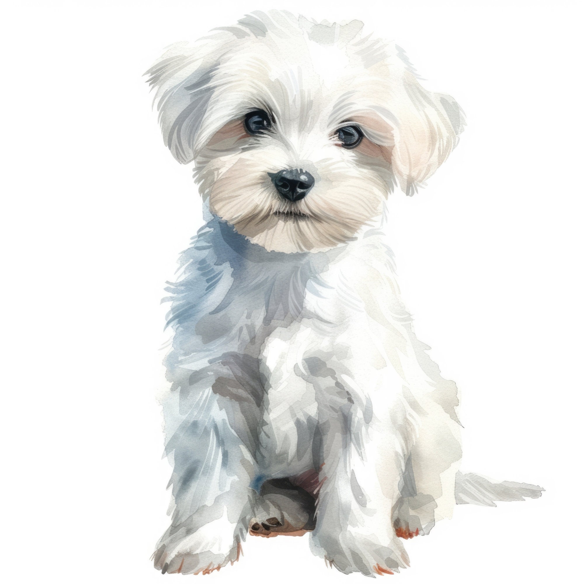 White Dog Clipart Bundle: Digital Download for Birthday, Commercial Use ...