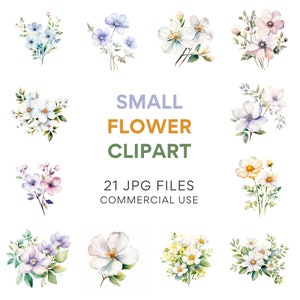 Small Flower Clipart | 21 High-Quality JPGs - Watercolor, Digital Planners, Junk Journals, Wall Art, Commercial Use, Digital Download