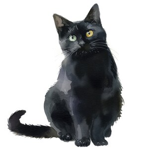 Pode incluir: Um gato preto com um olho verde e um olho amarelo est&aacute; sentado com o rabo enrolado em torno de suas pernas. O gato est&aacute; olhando para a direita da imagem.