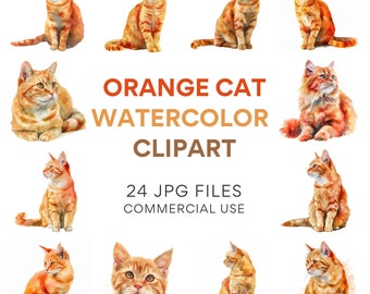 Clipart de gato laranja: gatinho aquarela, pacote de clipart de gato, JPGs de uso comercial, download digital instantâneo, gatos e animais em aquarela