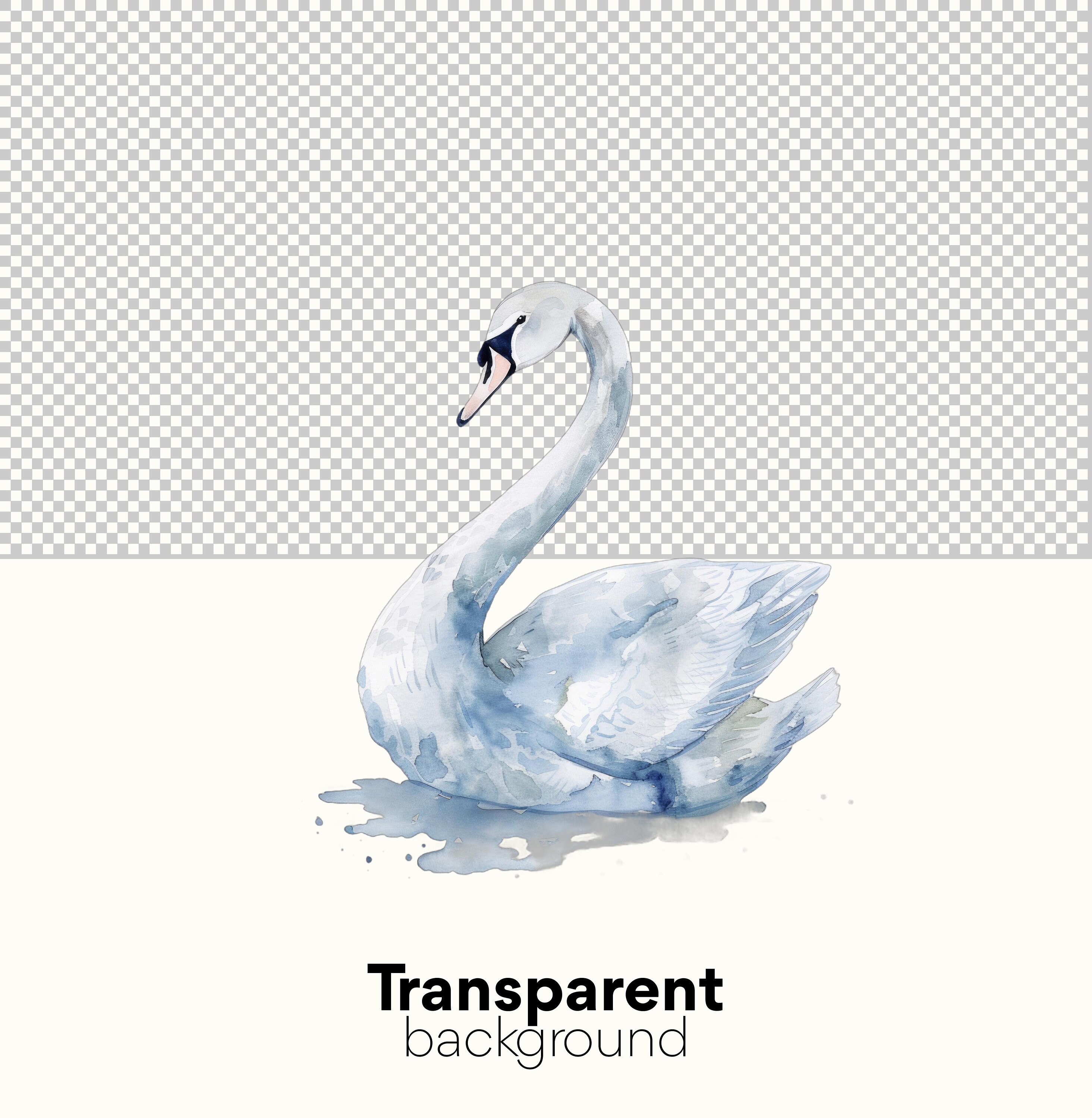 Swan Clipart Pack: Digital Download of Watercolor Swan Clipart for Wall ...