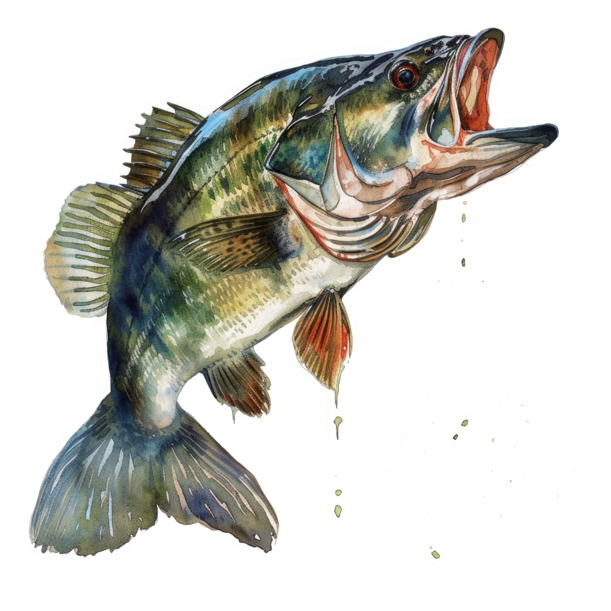 Bass Fishing Clipart Bundle, Ideal for Fishing Shirt Design, Perfect ...