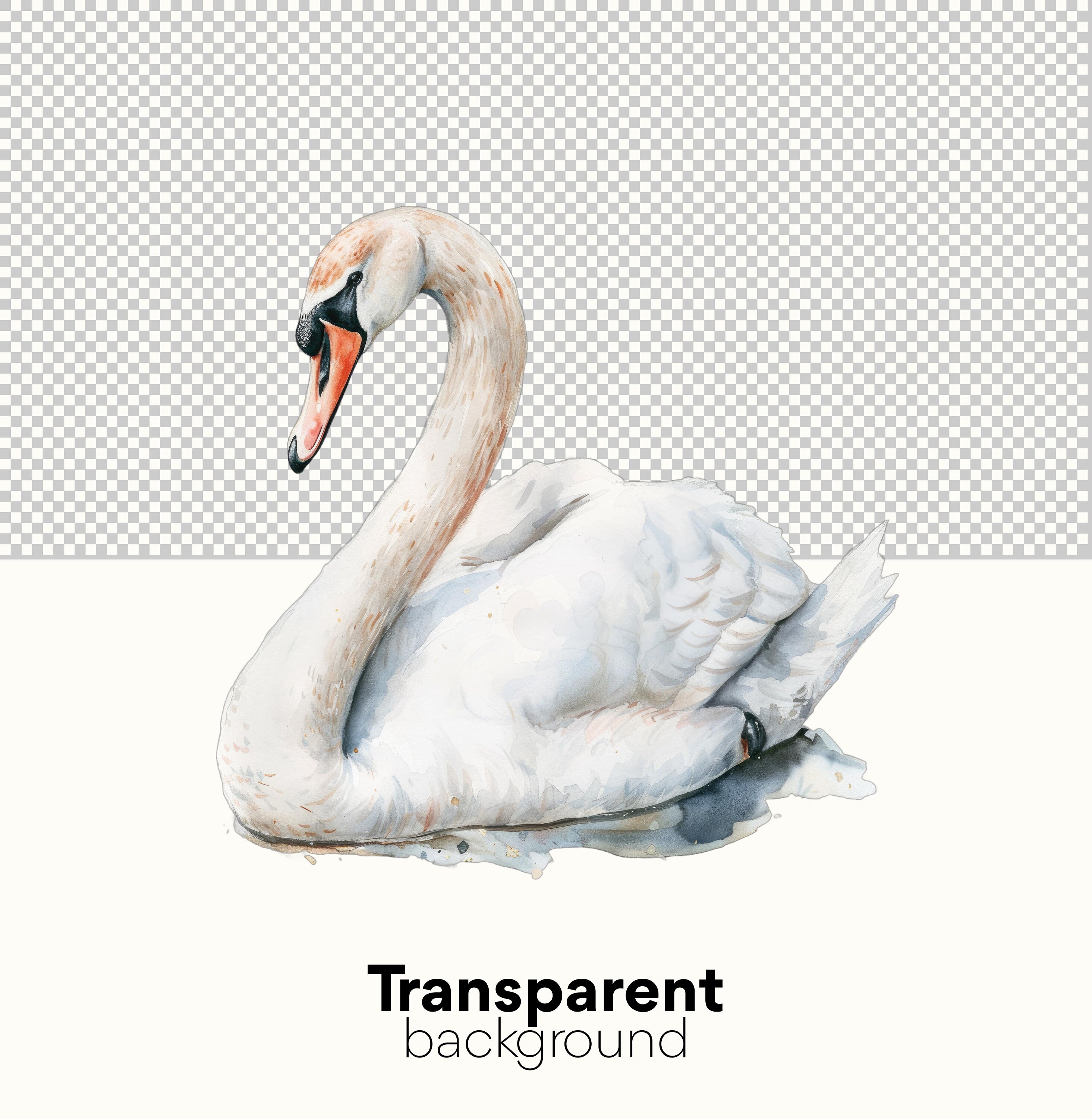 Swan Clipart Pack: Digital Download of Watercolor Swan Clipart for Wall ...