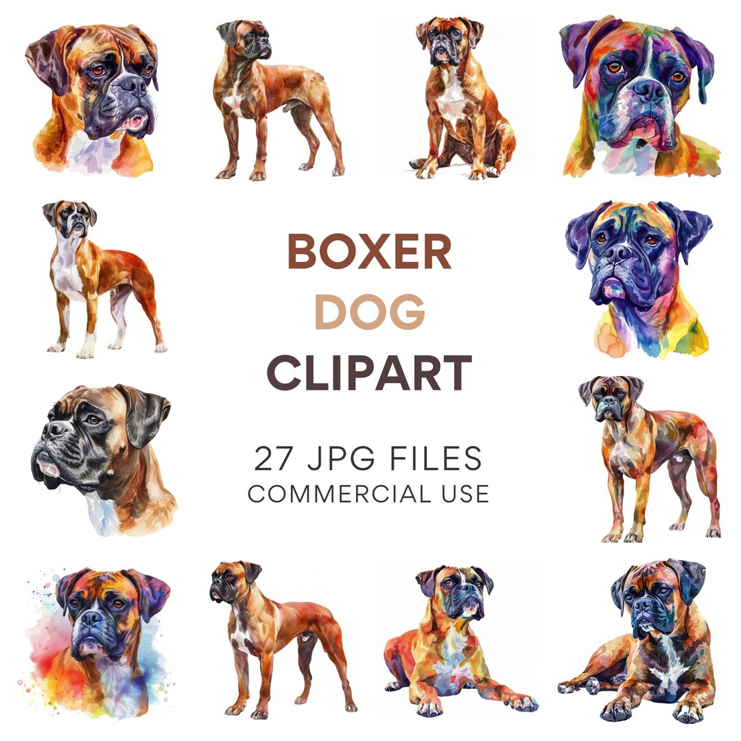 Boxer dog clip art watercolor digital clipart jpg scrapbook images