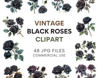 Vintage Black Roses Clipart | 48 High-Quality JPGs - Watercolor, Digital Planners, Junk Journals, Wall Art, Commercial Use, Digital Download