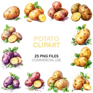 Potato Clipart Pack, Commercial Use Food Clip Art, Watercolor Potato Clip Art, Digital Download for Crafting, Scrapbook PNG Images, Wall Art
