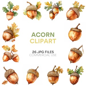 Acorn Clipart, aquarel herfstbladeren, Oak Fall Clipart, digitale download Acorn Image, commercieel gebruik, Planner Download JPG-bestanden