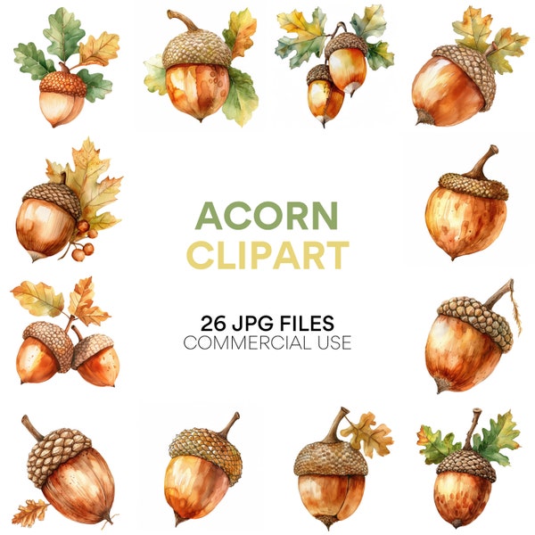 Acorn Clipart, Watercolor Autumn Leaves, Oak Fall Clipart, Digital Download Acorn Image, Commercial Use, Planner Download JPG Files