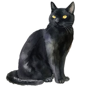 Pode incluir: Um gato preto com olhos amarelos sentado em um fundo branco. O gato est&aacute; olhando para a direita da imagem.