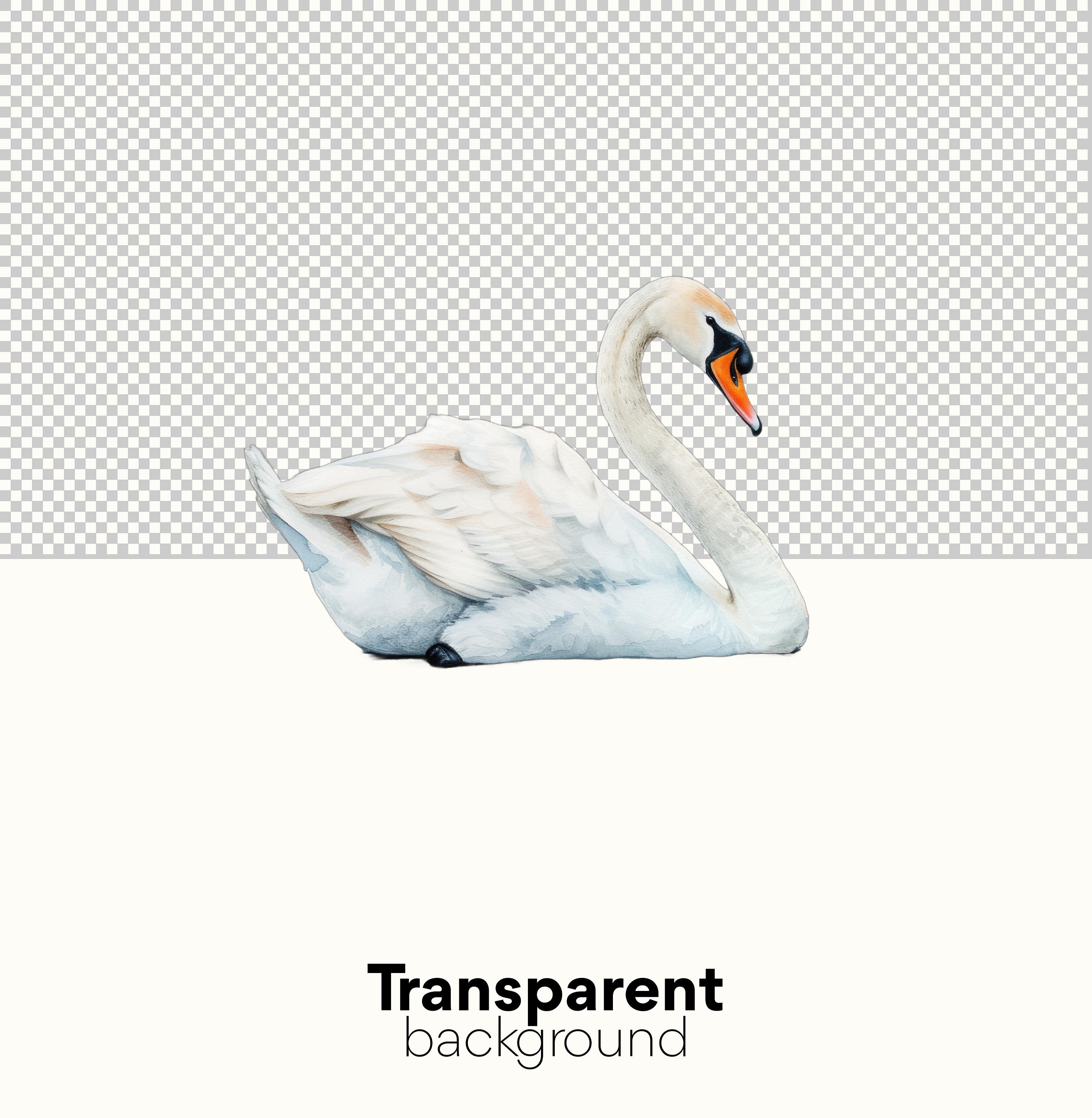 Swan Clipart Pack: Digital Download of Watercolor Swan Clipart for Wall ...