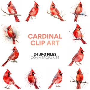 Cardinal Clip Art Pack - Digitaler Download, Roter Kardinal Aquarellmalerei, Scrapbook-Bilder, Weihnachtscliparts, kommerzielle Nutzung, JPG-Format