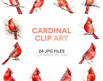 Cardinal Clip Art Pack - Digital Download, Red Cardinal Watercolor Painting, Scrapbook Images, Christmas Clipart, Commercial Use, JPG Format