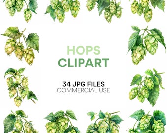 Hopfen-Clipart-Sammlung: Bierflasche, Pint, Fass, Weizen & Schaum - Aquarell Bier und Hopfen JPG-Dateien