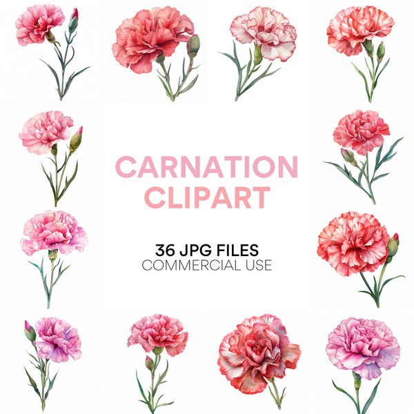 Carnation Clipart: Watercolor Carnation Flower and Bouquet, Digital Download for Commercial Use, Floral and Pink Carnation Clip Arts