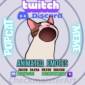Emote de meme de gato pop animado, emoticonos de Twitch, emoticonos de Discord, emoticono lindo, emoticonos de jajaja, emoticonos divertidos, emoticonos de streamer, emoticono estático, emoticono acogedor