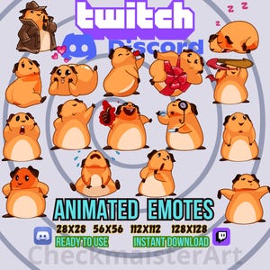 16 emoticones animados de cobaya, emoticones de Twitch, emoticones de Discord, emoticones de conejillo de indias, emoticones de calidad, emoticones divertidos, emoticones de streamers, emoticones de memes