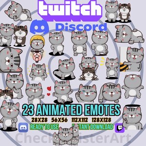 23 émoticônes animées chat assez cool, émoticônes Twitch, émoticônes Discord, émoticônes dessins animés, émoticônes adorables, émoticônes drôles, émoticônes streamer, transparent