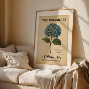 Puede incluir: Un estampado botánico enmarcado con una ilustración de una flor de hortensia azul. El estampado tiene las palabras "Wild Botanicals" e "Hydrangea" en un estilo vintage. El estampado se muestra en un sofá beige con almohadas.