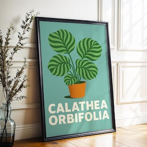 Calathea Poster - Etsy