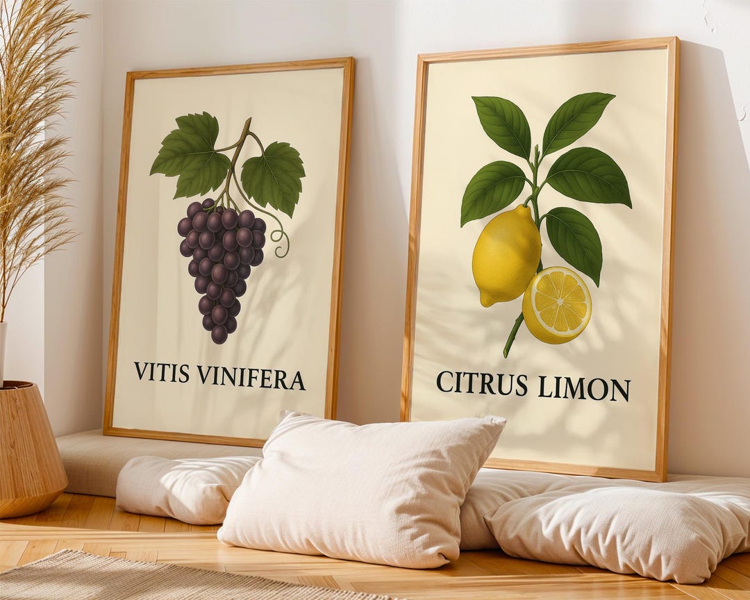 Vintage Botanical Fruit Prints: Lemon, Grapes, Fig, Pomegranate ...