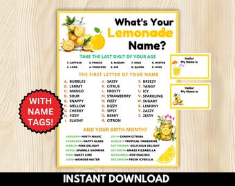 What's Your Lemonade Name Game with Nametags + Sign, Lemon Theme Baby Shower Games, House Warming Game, Lemon Birthday, Citrus Bridal Shower