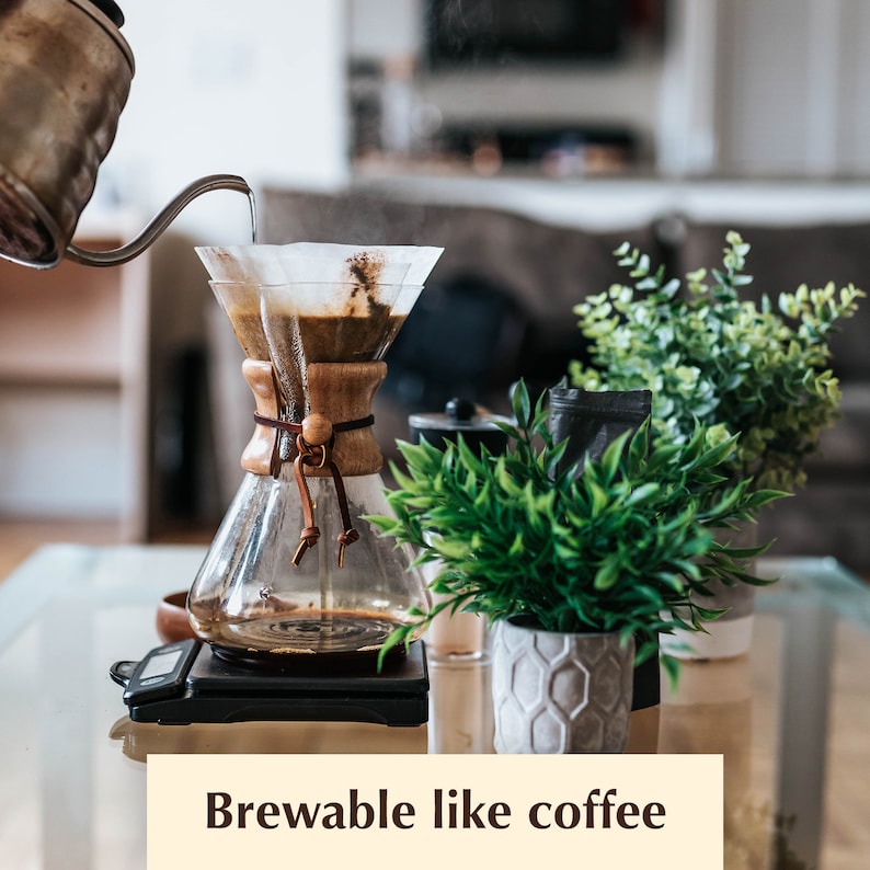 Beyond Coffee Natural Herbal Healthy Caffeine Free Certified Organic