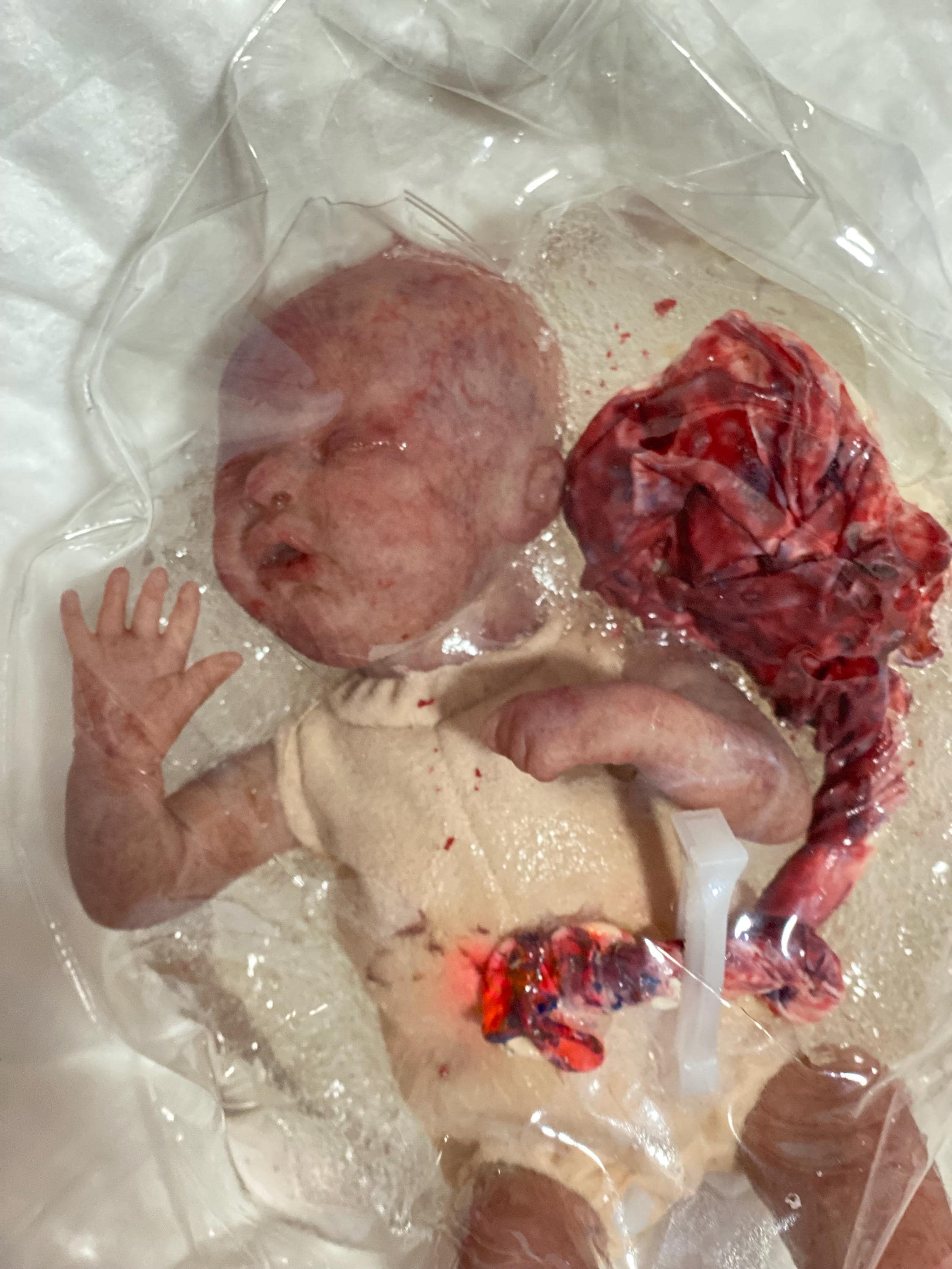 sex doll with womb 1.0 Hailey: 1.5kg (3.3 lbs) Silicone Anime Sex Doll Hentai Male Masturbator main image 0