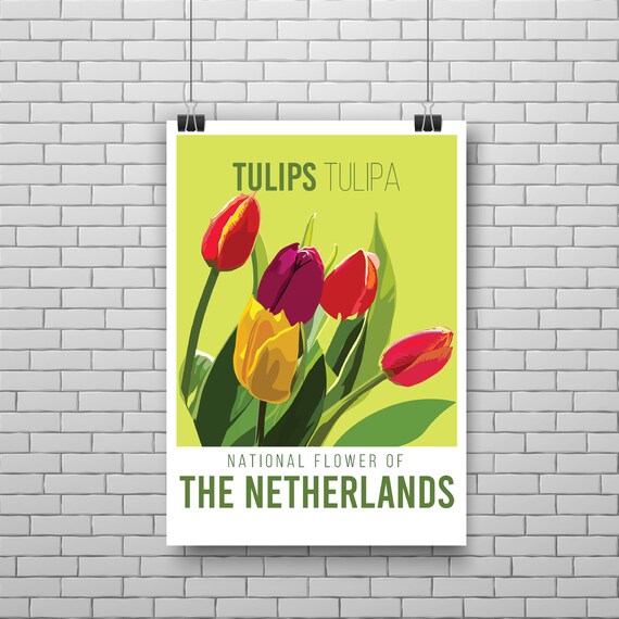 Flower Market Print Set of 6, Floral Posters, Botanical Wall Flower Market Print Set of 6, Floral Posters, Botanical Wall
