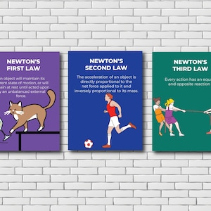 May include: Three illustrated posters with a white brick background. Each poster has a purple, blue, or green background with white text. The first poster says "Newton's First Law" and shows a cat knocking over a glass of flowers. The second poster says "Newton's Second Law" and shows a person running with a soccer ball. The third poster says "Newton's Third Law" and shows two people pulling on a rope.
