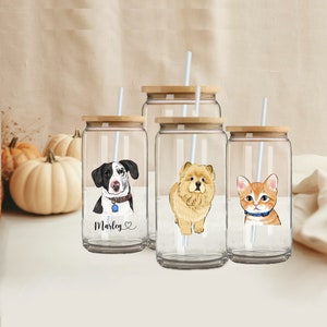 Custom Glass Tumbler With Glass Straw / Personalised Glass Tumbler With Your Own Pets.