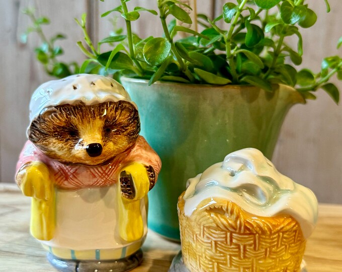 Mrs Tiggy-winkle Salt & Pepper Shaker - Etsy