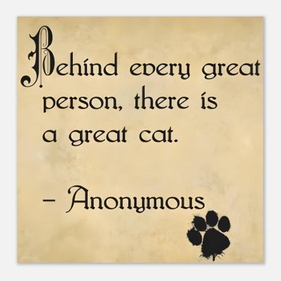 Purrfect Cat Quote Poster – Celebrate Your Feline Inspiration -Premium Matte Paper Poster