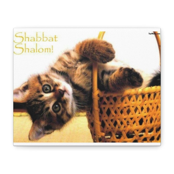 Shabbat Shalom Cat Canvas Print: Jewish Holiday Home Decor