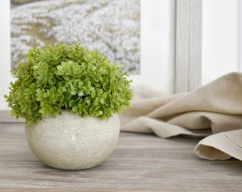 Mini Hebe Veronica in Stone Pot - Faux Plant