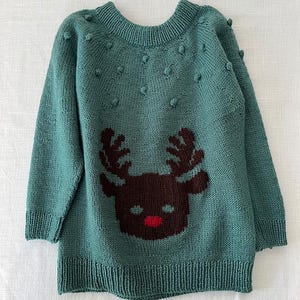 Può includere: Un maglione di lana verde con un disegno di renna marrone. Il maglione ha un collo rotondo e maniche lunghe. La renna ha un naso rosso e corna marroni.