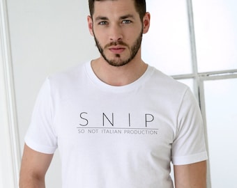 Graphics "SNIP - So Not Italian Production" inspired by "Boris 4"