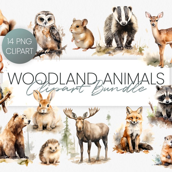 Woodland Animals Clipart Bundle, Animal Clipart for Commercial Use, Woodland Baby Animals, Nursery Clipart, Bear, Fox, Deer, Hedgehog